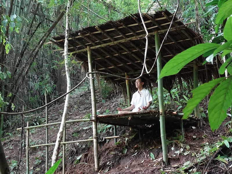 Bamboo forest meditation at Tigerland Rice Farm
